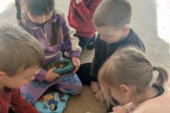 pxl_20260227_084539083.portrait