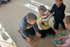 pxl_20260227_084623725.portrait