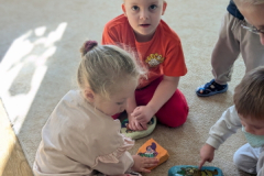 pxl_20260227_084731422.portrait