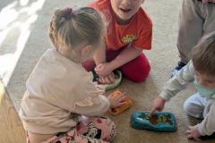 pxl_20260227_084732577.portrait