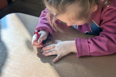 pxl_20260227_085855675.portrait