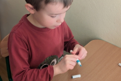 pxl_20260227_085930212.portrait