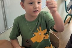 pxl_20260227_085943411.portrait