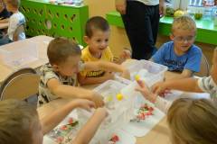 ochronkaszebnie2025edu-21