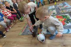 ochronkaszebnie2025roboty-10