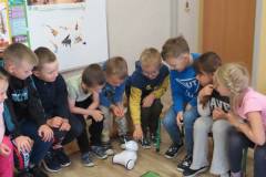 ochronkaszebnie2025roboty-23