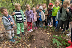 ochronkaszebnie2026las-5