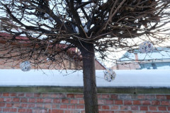 dscf2055
