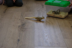 dscf1490