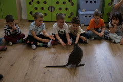 dscf7678