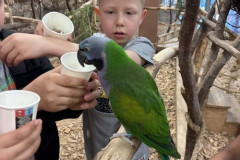 img_2023