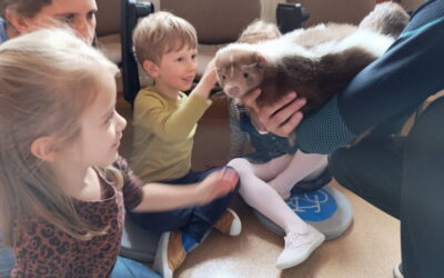 SKUNKS KRZYŚ