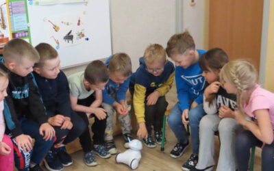 Warsztaty ekologiczno – edukacyjne
