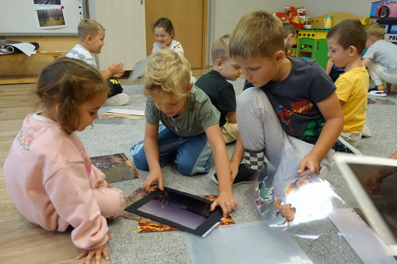 OchronkaSzebnie2025Edu (25)