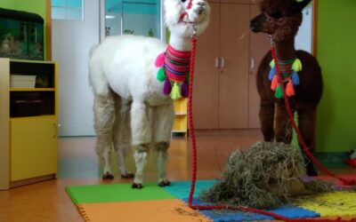 Niecodzienni goście :-)