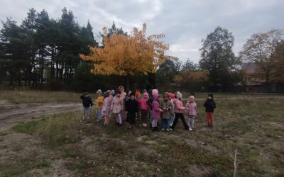W poszukiwaniu darów jesieni – Wędrowniczki