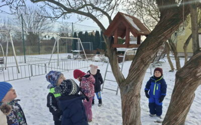 ZIMĄ TROSZCZYMY SIĘ O&nbsp;PTAKI I&nbsp;ZWIERZĘTA