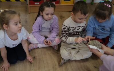 WARSZTATY PRZYRODNICZE :)