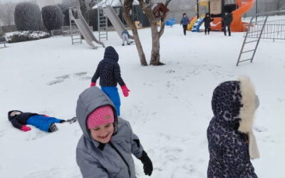 MOTYLKI NA&nbsp;ŚNIEGU