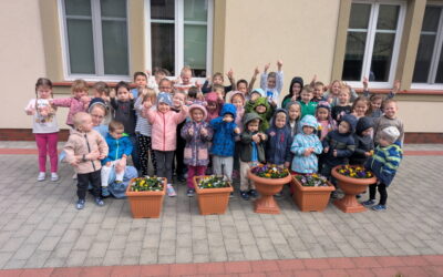 Wiosenne sadzenie bratków