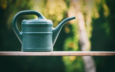 Prace w&nbsp;Ogrodzie