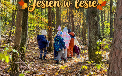 Jesień w&nbsp;lesie – spotkanie z&nbsp;pięknem Bożego stworzenia